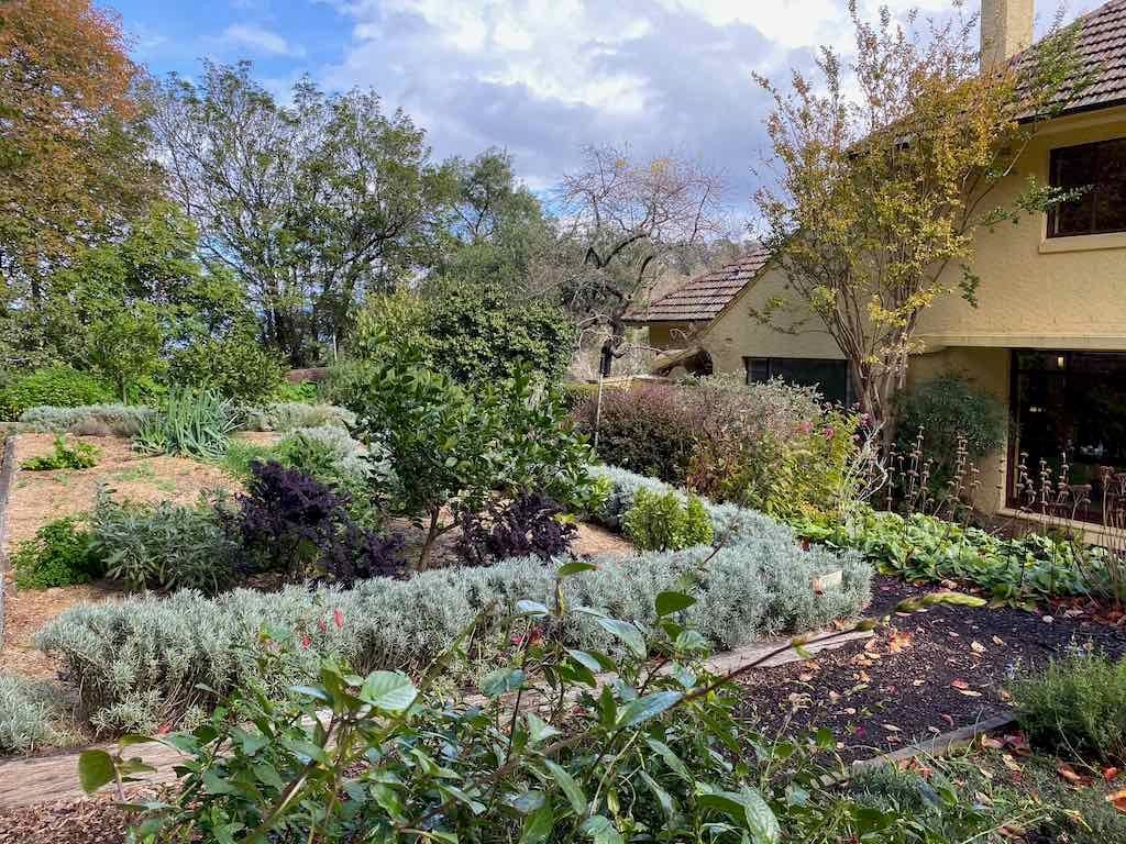May 2023 Bathurst Mayfield Garden Tour Image -64605afe7a753